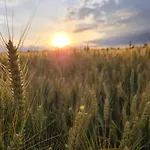 La Bucolique De Tahier Campingplatz *