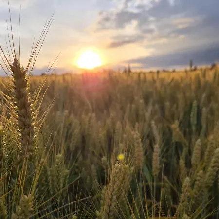 La Bucolique De Tahier Camping *